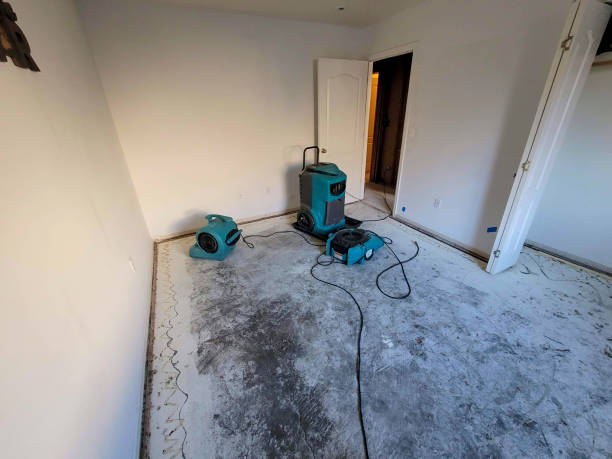 Best Carpet water damage restoration  in Sinton, TX