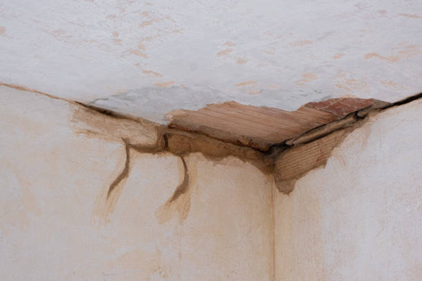 Best Ceiling water damage repair  in Sinton, TX